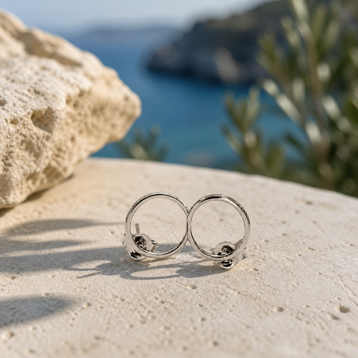 Inner Circle of Unity Earrings