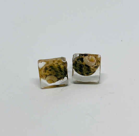 Sea Relic