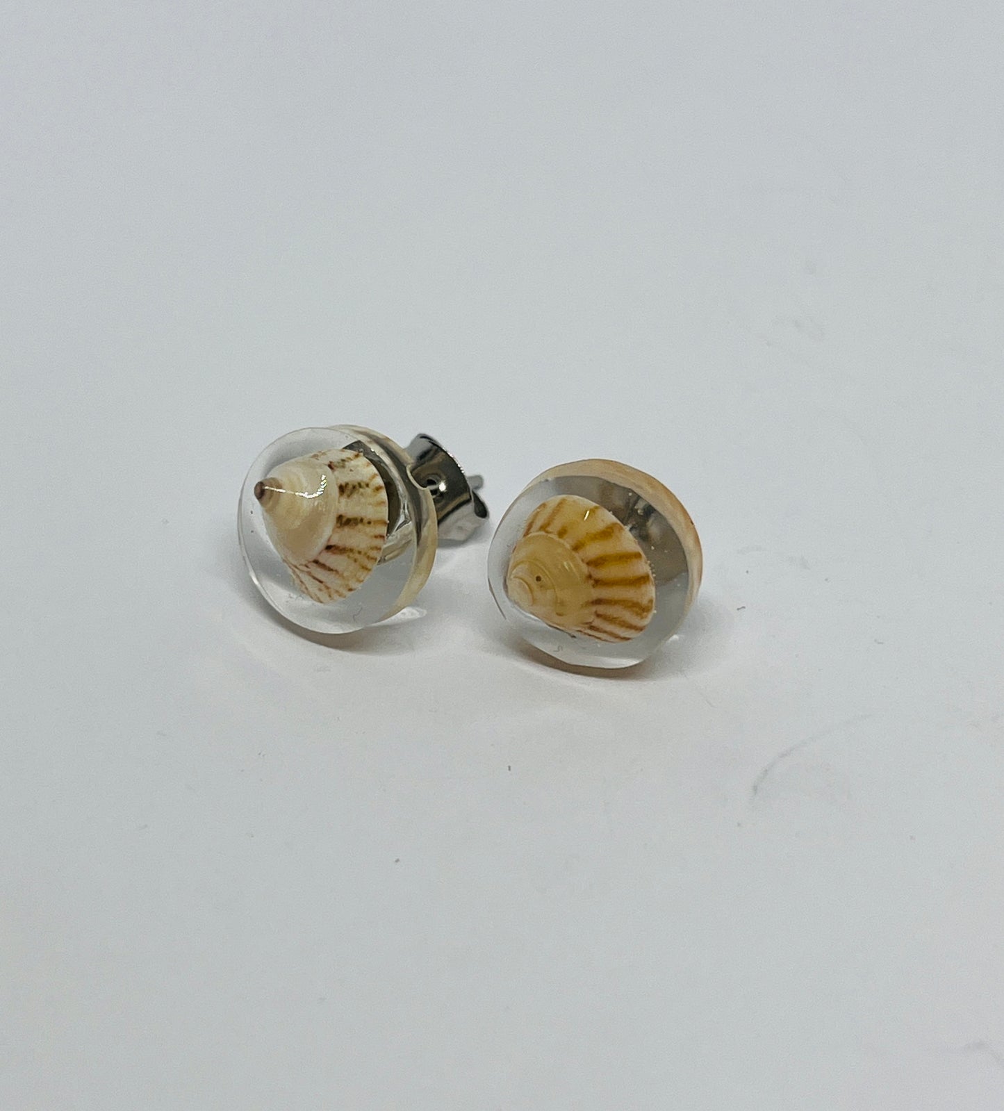Trochus Shell Resin Earrings