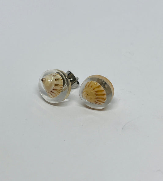 Trochus Shell Resin Earrings
