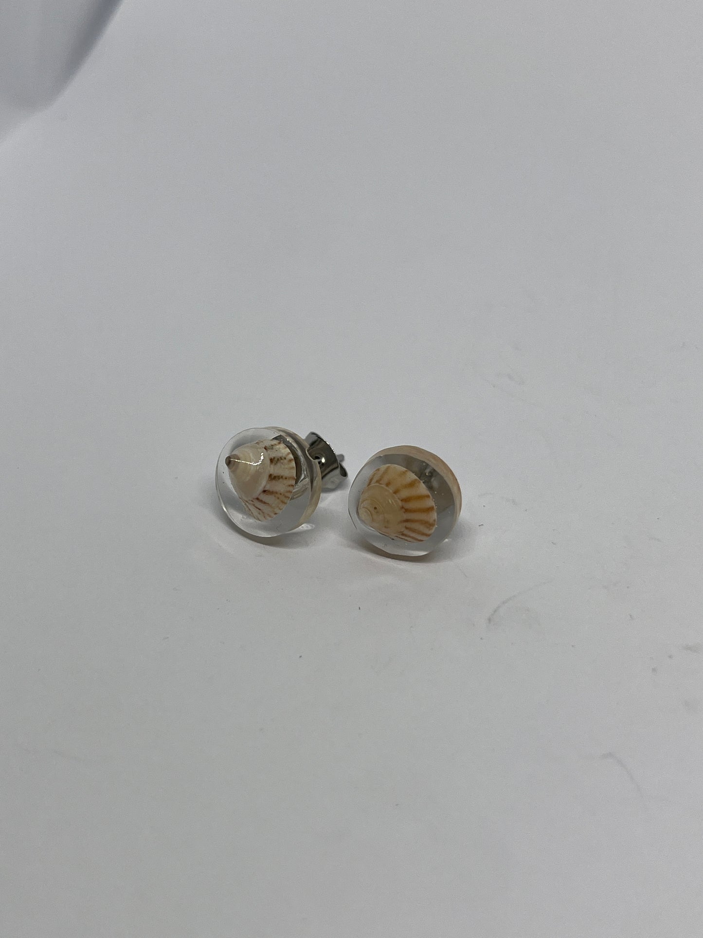 Trochus Shell Resin Earrings