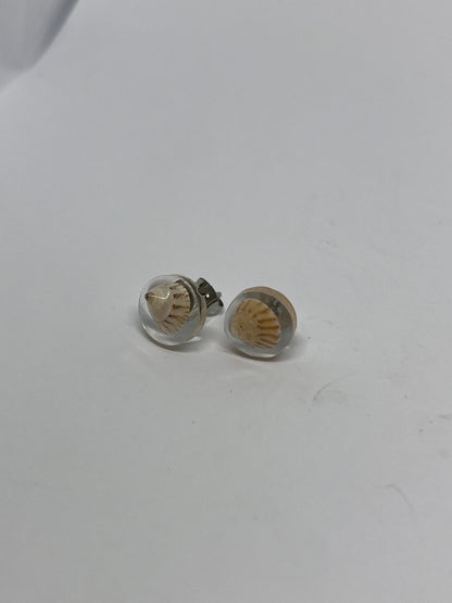Trochus Shell Resin Earrings